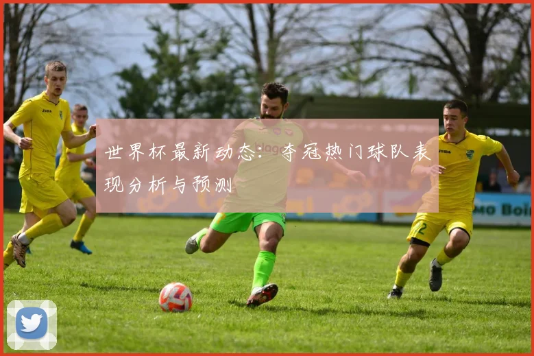 世界杯最新动态:夺冠热门球队表现分析与预测